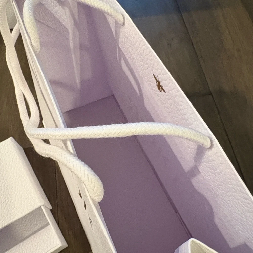 Dior Pebbled Bags from Nordstrom Roosevelt Field in Long Island, New York ~ New - Picture 6 of 7